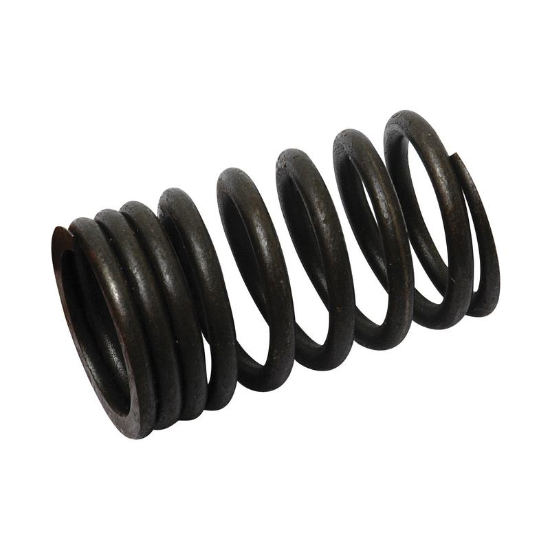 80947 Spring Ford Valve Spring, 81710787